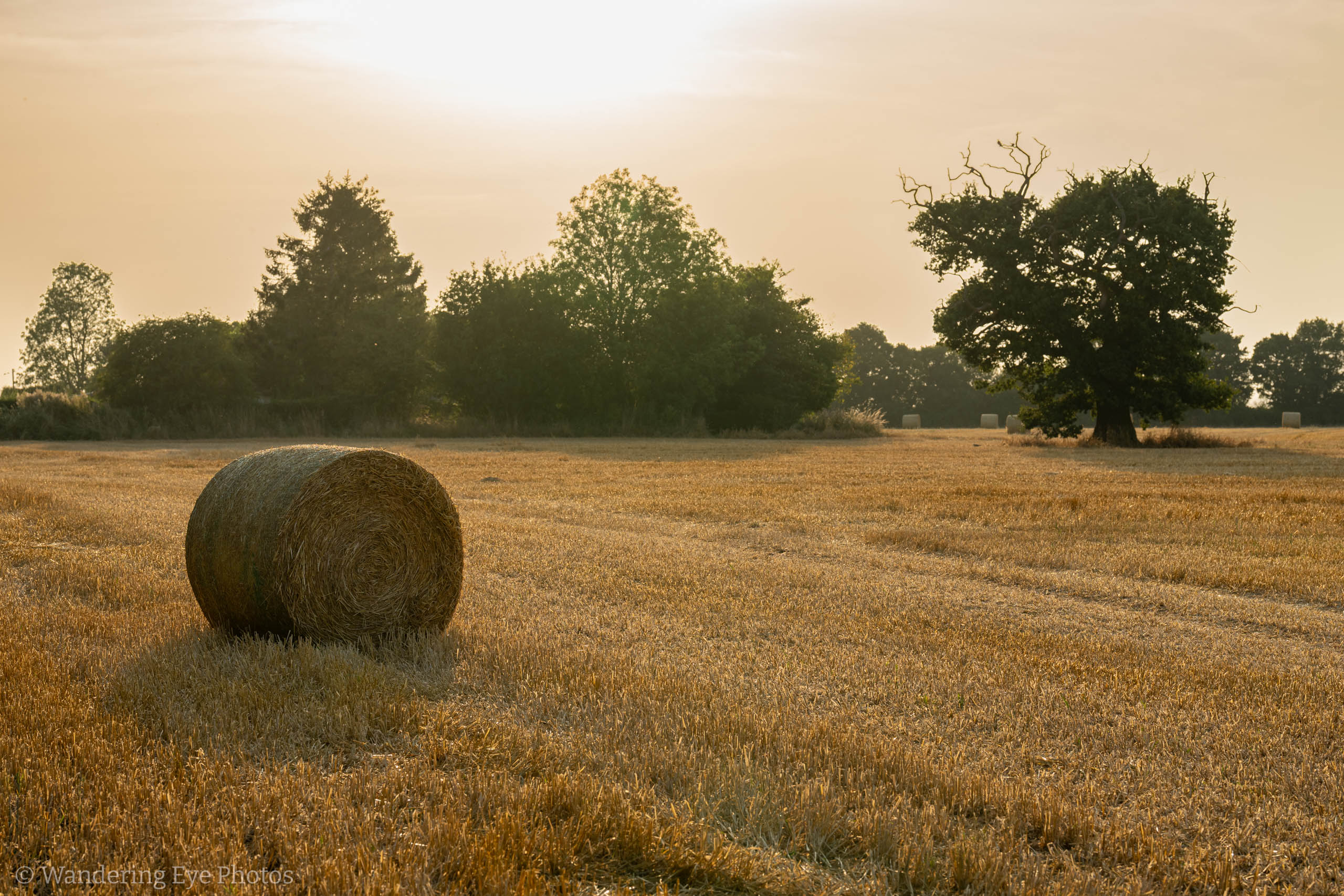 09.01 18.31.11   DSC02856